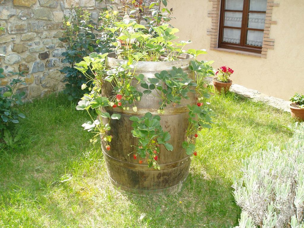 Agriturismo Podere Micitto Usi Exterior photo